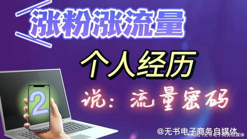 从零到千粉 我的三次涨粉经历与对互联网流量密码的思考